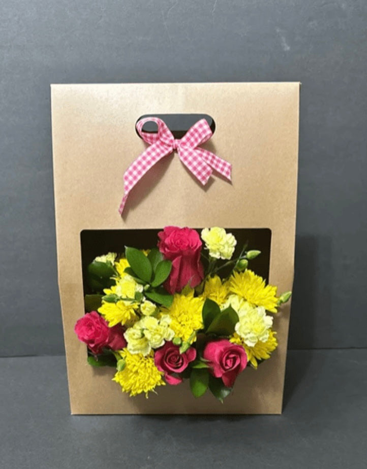 Vida4u big box